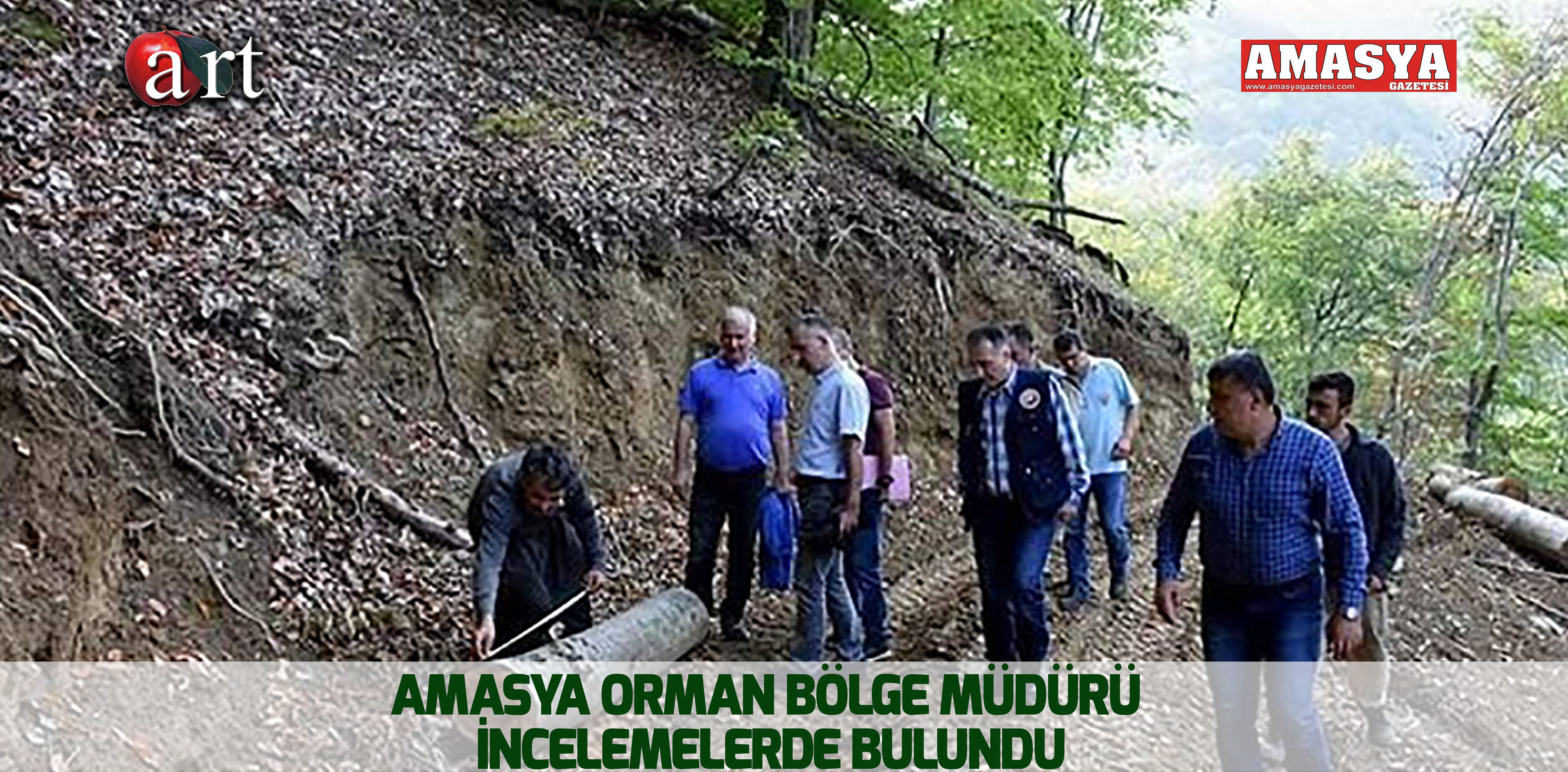Amasya Orman Bölge Müdürü  İncelemelerde bulundu