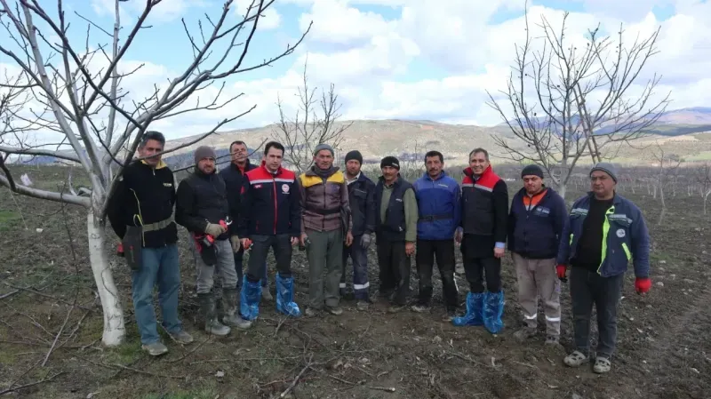 Amasya İl Tarım ve Orman Müdürü Gürol Çetin, Çiftçilere Ceviz Budama Tekniklerini Anlattı