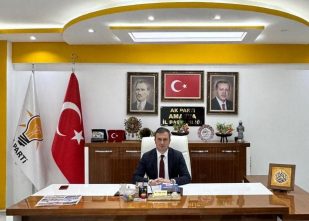 Amasya’da Sahipsiz Hayvan Sorunu Çözülüyor: