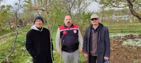 Meyve Ağaçlarında Don Felaketi: 7 Bin Dekar Alan Zarar Gördü