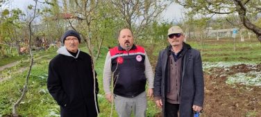 Meyve Ağaçlarında Don Felaketi: 7 Bin Dekar Alan Zarar Gördü