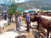 Kurbanlık Fiyatları Belli Oldu: Bu Yıl 3 Milyon 350 Bin Hayvan Kesilecek